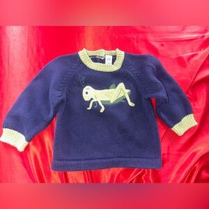 Embroidered baby Sweater